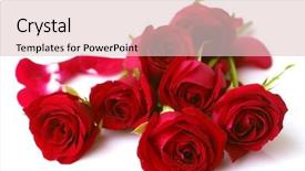  Presentation with red floral - Audience pleasing PPT theme consisting of roses on white background backdrop and a lemonade colored foreground