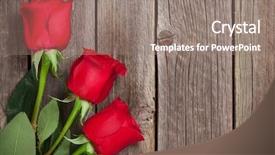  Presentation with valentines day - Presentation theme featuring roses over wooden table valentines background and a gray colored foreground