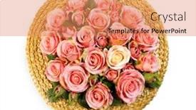  Presentation with pink silk - Cool new slides with roses-pink-rose-holiday-flower backdrop and a coral colored foreground