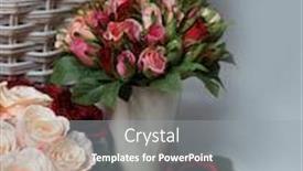  Presentation with rose flower - Presentation theme having roses-pink-rose-holiday-flower background and a gray colored foreground
