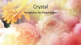  Presentation with roses - Beautiful slide deck featuring roses surrounded with other fowers backdrop and a  colored foreground