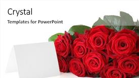  Presentation with congratulations - Slides consisting of scarlet letter - bunch of roses background and a white colored foreground