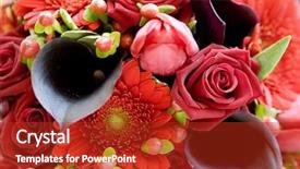  Presentation with calla - Beautiful slide deck featuring roses with deep purple calla backdrop and a crimson colored foreground