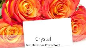  Presentation with roses - 