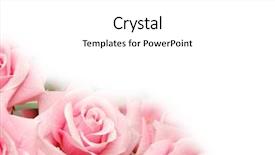  Presentation with water drops - Amazing PPT theme having roses with water drops - use backdrop and a white colored foreground