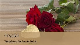 Presentation with roses - Colorful PPT theme enhanced with rosewood - roses for valentine's day backdrop and a coral colored foreground