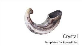  Presentation with rosh hashanah - Presentation design featuring rosh hashanah - jewish small horn shofar isolated background and a white colored foreground