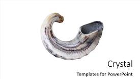  Presentation with jewish - Amazing presentation having rosh hashanah - jewish small horn shofar isolated backdrop and a white colored foreground