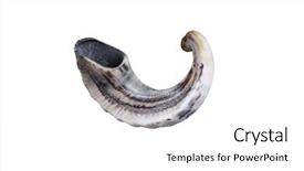  Presentation with jewish - PPT layouts having rosh hashanah - jewish small horn shofar isolated background and a white colored foreground