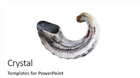  Presentation with jewish - PPT theme enhanced with rosh hashanah - jewish small horn shofar isolated background and a white colored foreground