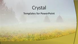  Presentation with vintage retro - Cool new presentation theme with rosses - gloomy morning with dramatic backdrop and a  colored foreground