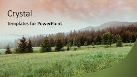  Presentation with vintage retro - Theme having rosses - gloomy morning with dramatic background and a  colored foreground