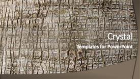  Presentation with palm tree - Slides with rosses - palm tree close-up background background and a gray colored foreground