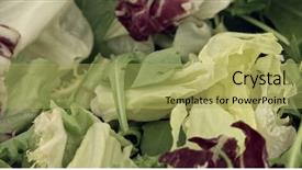  Presentation with lettuce - Beautiful slides featuring rotate - fresh green and red lettuce backdrop and a yellow colored foreground