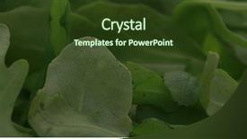  Presentation with spinach - Slides having rotate - fresh spinach leafs close up background and a tawny brown colored foreground