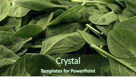  Presentation with spinach - Audience pleasing slides consisting of rotate - fresh spinach leafs close up backdrop and a tawny brown colored foreground