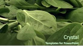  Presentation with spinach - Theme featuring rotate - fresh spinach leafs close up background and a tawny brown colored foreground