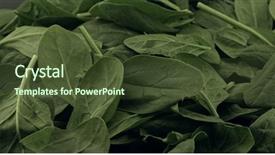  Presentation with spinach - Beautiful slides featuring rotate - fresh spinach leafs close up backdrop and a tawny brown colored foreground