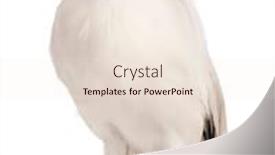  Presentation with black and white old phone - Amazing PPT layouts having rothschild-s-swift-cypseloides-rothschildi backdrop and a lemonade colored foreground