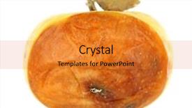  Presentation with apple - PPT theme enhanced with rotten apple isolated on white background and a  colored foreground