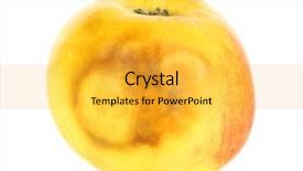  Presentation with apple - Slide set featuring rotten apple isolated on white background and a  colored foreground