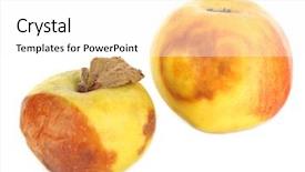  Presentation with white - Slide deck enhanced with rotten apples isolated on white background and a  colored foreground