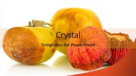  Presentation with white - Colorful theme enhanced with rotten apples isolated on white backdrop and a  colored foreground