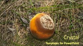  Presentation with plant disease - Slides consisting of rotten-apricots-fall background and a tawny brown colored foreground