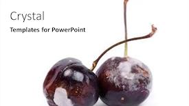 Presentation with cherry - Presentation theme consisting of rotten-cherry-isolated-on-white background and a white colored foreground