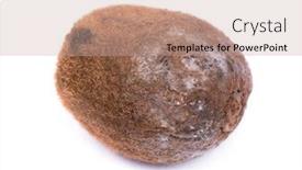  Presentation with kiwi - Theme consisting of rotten-kiwi-isolated-over-white background and a coral colored foreground