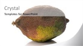  Presentation with lemon - Slides with rotten-lemon-close-up-isolated background and a white colored foreground