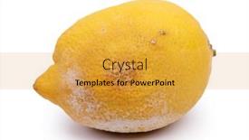  Presentation with mold - Cool new PPT layouts with rotten-lemon-with-mold-isolated backdrop and a gold colored foreground