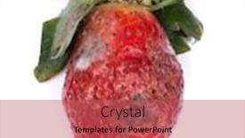  Presentation with strawberry - PPT theme enhanced with rotten-strawberry-isolated-on-white background and a red colored foreground