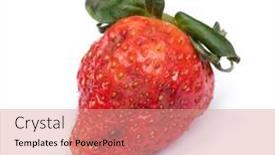  Presentation with octopus on isolated white - Slide deck featuring rotten-strawberry-isolated-on-white background and a coral colored foreground