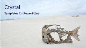  Presentation with skeleton bones - Theme enhanced with rotteness bones - skeleton of a fish background and a sky blue colored foreground