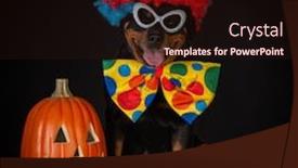  Presentation with deutsche deutsch rottweiler guard dog - Cool new slide deck with rottweiler dressed up like a clown backdrop and a wine colored foreground