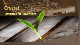  Presentation with boot camp boots - Slide deck enhanced with rough-boots-crush-delicate-flower background and a  colored foreground