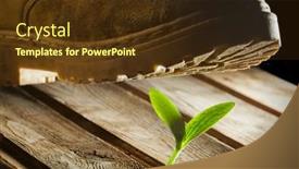  Presentation with rough - PPT theme featuring rough-boots-crush-delicate-flower background and a tawny brown colored foreground