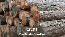  Presentation with rough - Slide set with rough cut timber logs stacked background and a tawny brown colored foreground
