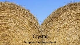  Presentation with straw bale - Amazing presentation theme having stem hay bales - round bale of straw backdrop and a yellow colored foreground