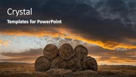  Presentation with hay field - PPT layouts enhanced with round-bales-of-dry-hay and a tawny brown colored foreground