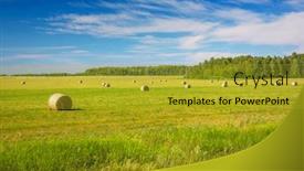  Presentation with hay field - Cool new PPT layouts with round-bales-of-hay backdrop and a gold colored foreground