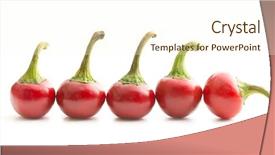  Presentation with pink and white roses shabby chic country - Colorful PPT theme enhanced with round chili peppers isolated backdrop and a cream colored foreground