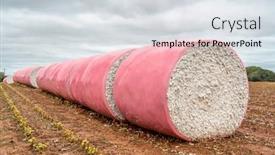  Presentation with alabama - Slide deck having round cotton bales wrapped background and a sky blue colored foreground