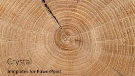  Presentation with tree rings - PPT layouts having round-cut-down-tree background and a coral colored foreground