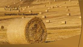  Presentation with agricultural - Slides enhanced with round-dried-haystacks background and a gold colored foreground