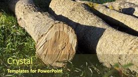  Presentation with park - Beautiful PPT theme featuring round-firewood-recently-sawn-close backdrop and a tawny brown colored foreground