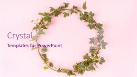  Presentation with frame pink - Presentation having round-frame-surrounded-by-ivy background and a pink colored foreground