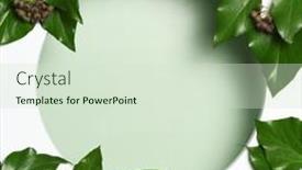  Presentation with ivy - 