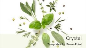  Presentation with mediterranean food - Presentation theme with round-herb-ornament-made background and a soft green colored foreground